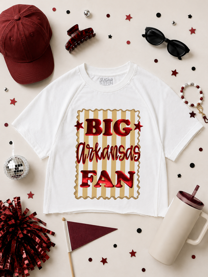 Big Fan Game Day Graphic Edgy T-Shirt