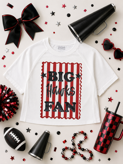 Big Fan Game Day Graphic Edgy T-Shirt