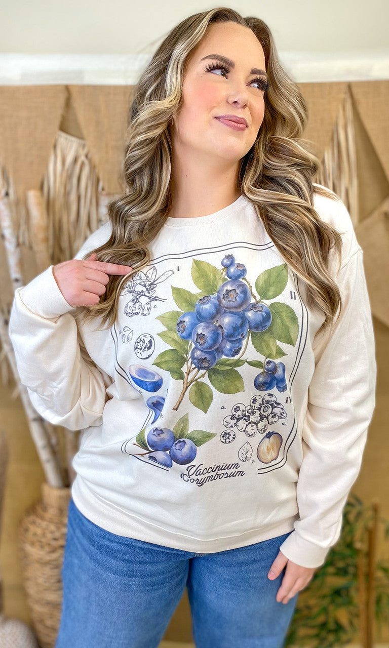 Botanical Fruit Graphic Sweatshirt