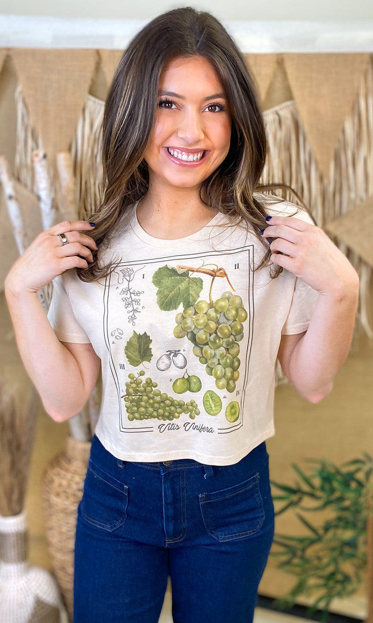 Botanical Fruit Graphic Crop Top T-Shirt
