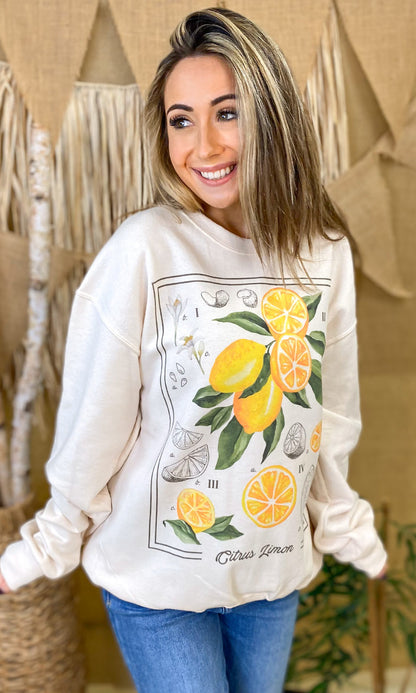 Botanical Fruit Graphic Sweatshirt