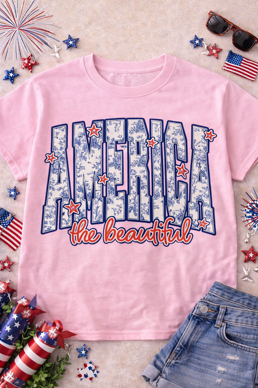 America The Beautiful Graphic T-Shirt