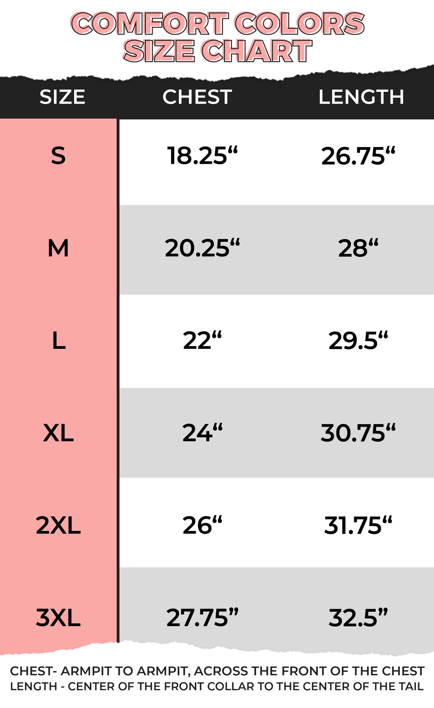 Seashells on the Seashore Comfort Color Graphic T-Shirt