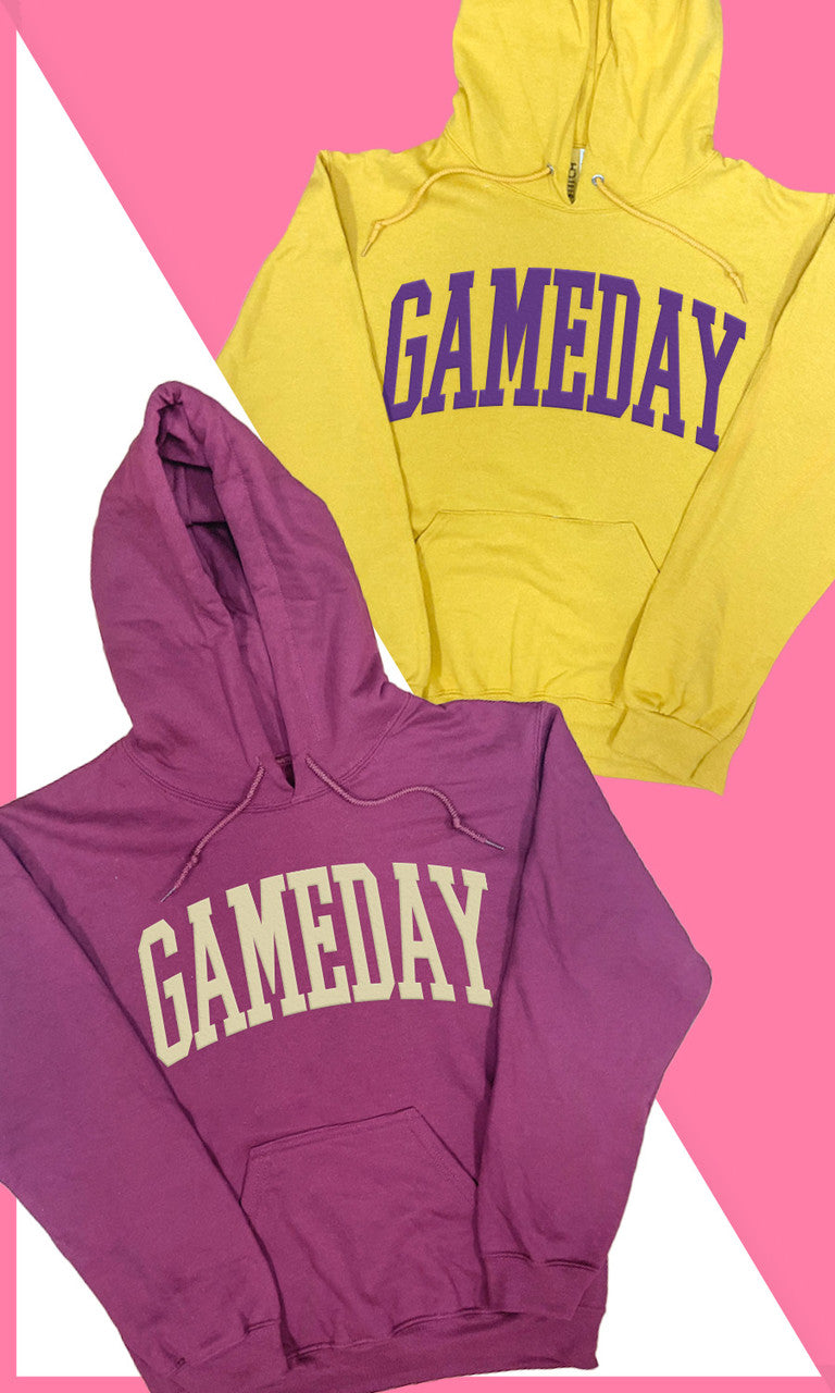 Game Day Flock Graphic Hoodie