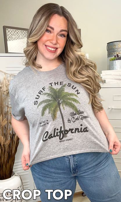 Surf the Sun Graphic