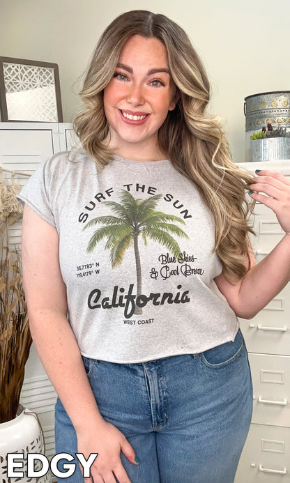 Surf the Sun Graphic