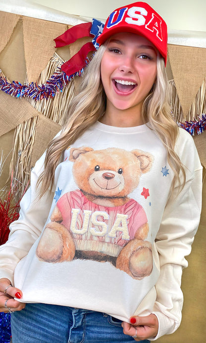 USA Teddy Bear Soft Chenille Graphic Sweatshirt