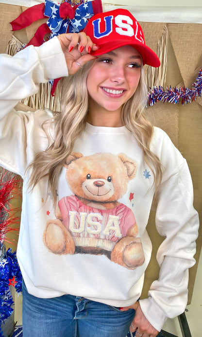 USA Teddy Bear Soft Chenille Graphic Sweatshirt