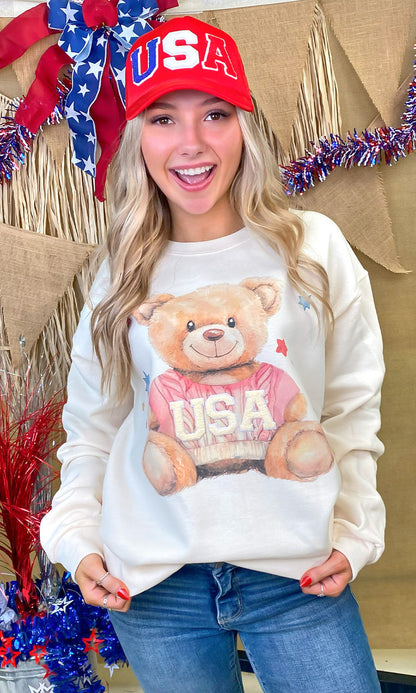 USA Teddy Bear Soft Chenille Graphic Sweatshirt